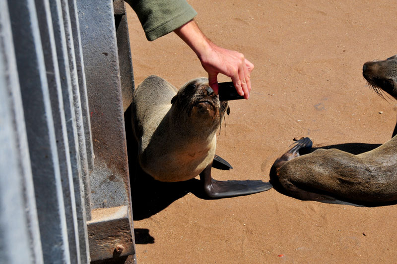 Namibia